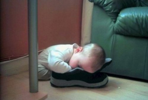 Самые странные и необычные места для сна (30 фото)