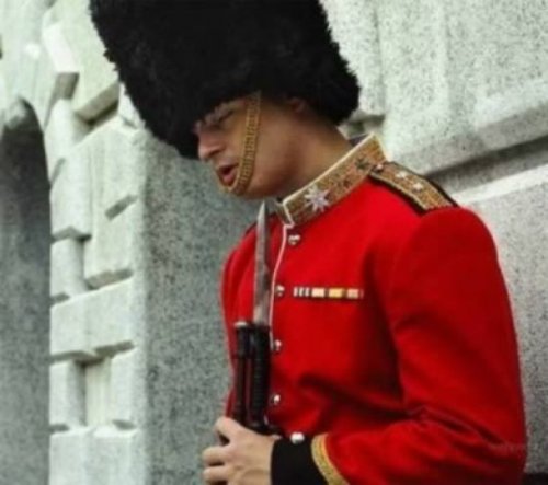 Самые странные и необычные места для сна (30 фото)