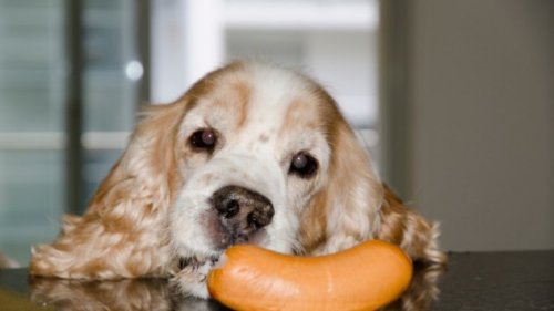 Топ-10 Странных фактов о колбасках и сосисках