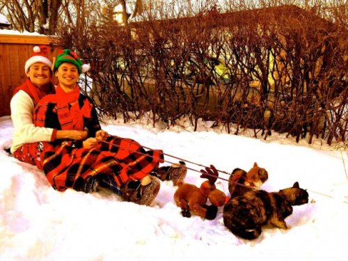 Новогодняя атмосфера в прикольных картинках (22 фото)