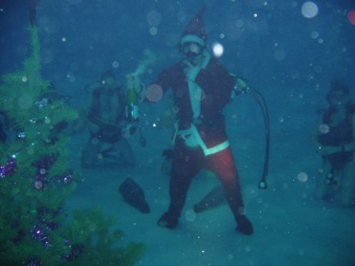 Новогодняя атмосфера в прикольных картинках (22 фото)