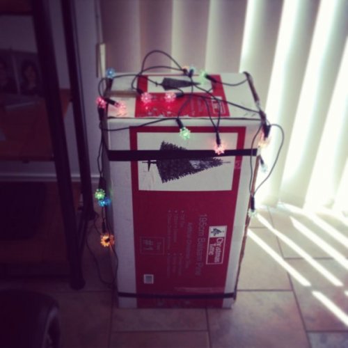 Новогодняя атмосфера в прикольных картинках (22 фото)