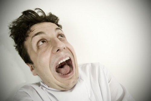 Топ-10 Страшных историй о пауках