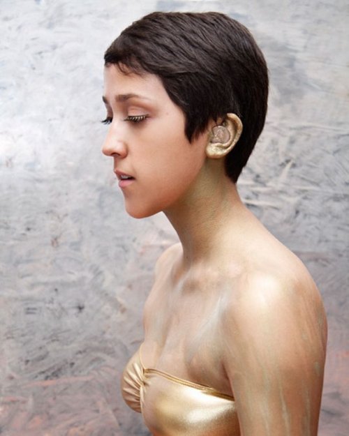 Несколько самых странных законов США (8 фото)