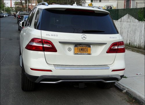 Прикольные номера на машинах русскоговорящих американцев (36 фото)