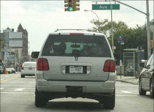 Прикольные номера на машинах русскоговорящих американцев (36 фото)