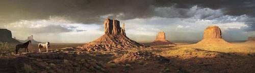 Экспрессивные фотографии лошадей в проекте Тима Флэка (23 фото)