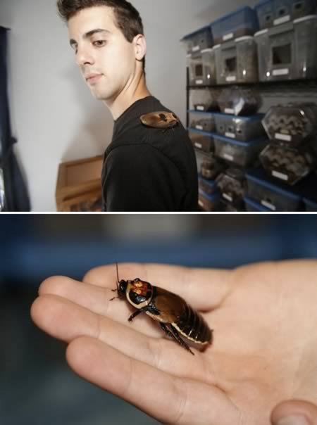 10 Самых странных образов жизни 10 Самых странных образов жизни