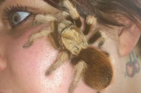 10 Самых странных образов жизни 10 Самых странных образов жизни