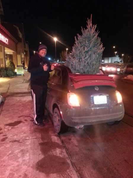 Пятничный картинкопост (38 шт) Пятничный картинкопост (38 шт)