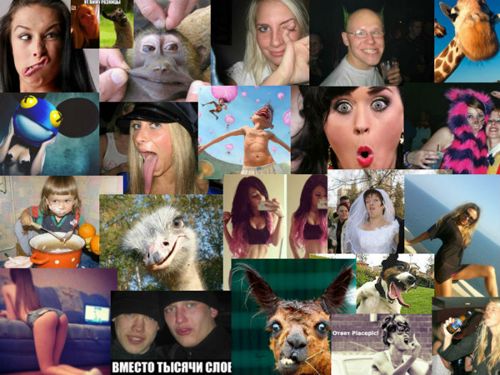 Юмор и приколы на Placepic.ru