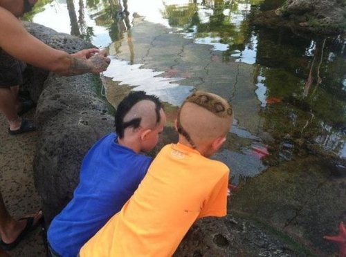 Все краски жизни (34 фото)