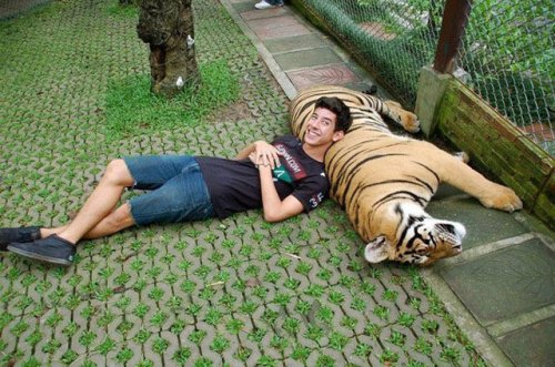 Все краски жизни (34 фото)