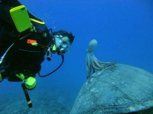 Все краски жизни (34 фото)