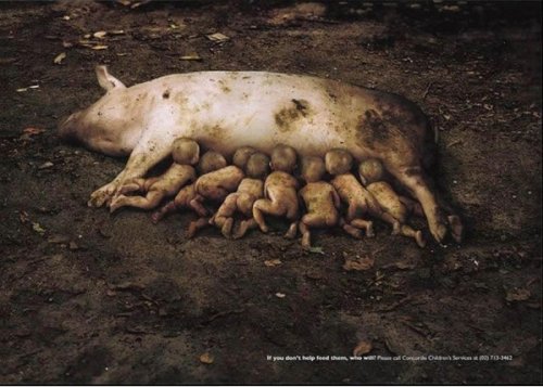 Цепляющая социальная и коммерческая реклама (18 фото)