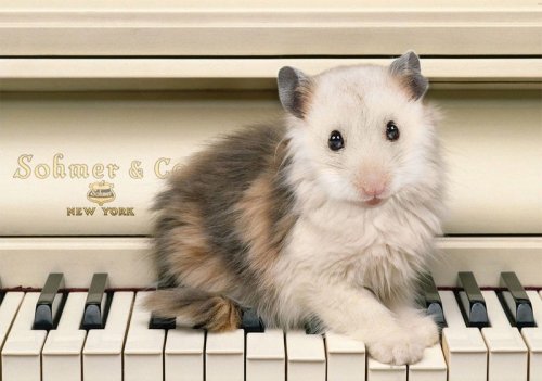 Хищники и их жертвы в одном теле (15 фото)