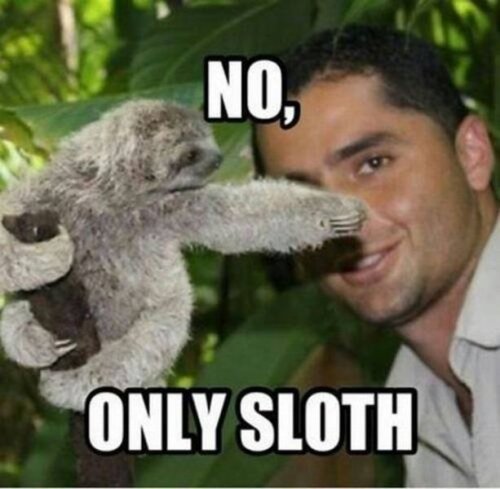 Очередная порция забавных фотобомб (23 шт)