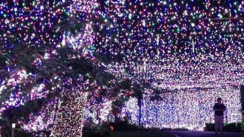 Семья из Австралии установила рекорд Гиннесса, соорудив рождественскую инсталляцию из 502 165 лампочек