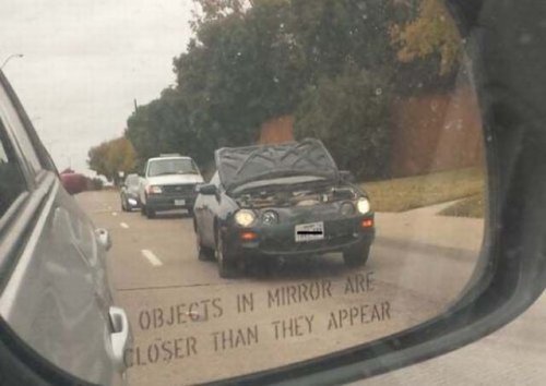 Пожалуй, я пас (30 фото)