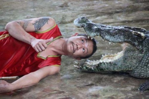 Пожалуй, я пас (30 фото)