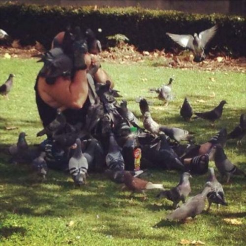 Пожалуй, я пас (30 фото)