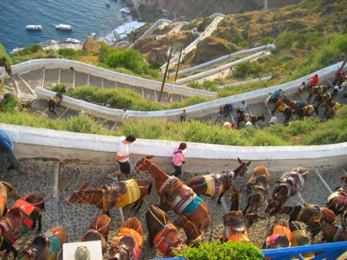 11 Прекрасных скальных троп (46 фото)