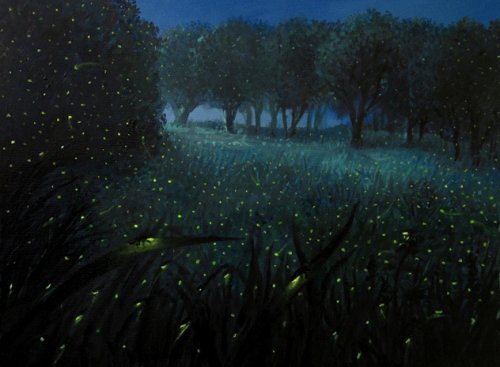 Топ-10 Странных и таинственных повадок насекомых