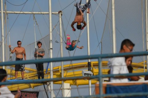 Случайно-удачные снимки (17 шт)