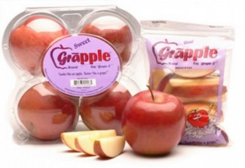 Яблоград – уникальное яблоко, которое обладает вкусом винограда сорта Конкорд (3 фото)