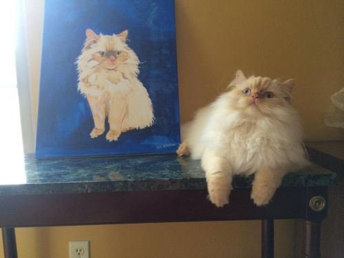 Непокорённые человеком (20 фото) Непокорённые человеком (20 фото)