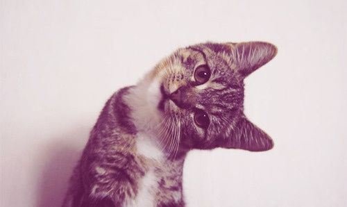 Непокорённые человеком (20 фото) Непокорённые человеком (20 фото)