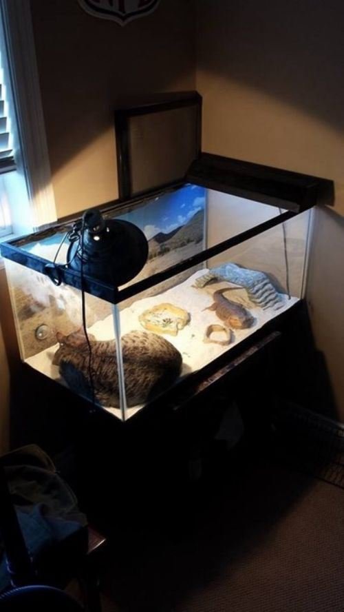 Непокорённые человеком (20 фото) Непокорённые человеком (20 фото)