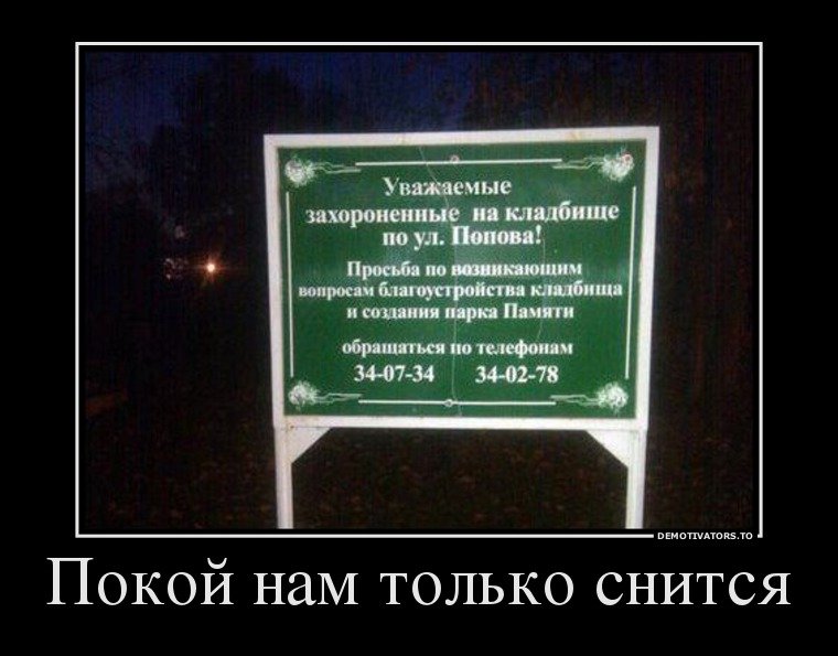 Картинки по запросу покой нам только снится