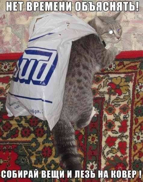 Вот вам прикольных картинок (42 шт) Вот вам прикольных картинок (42 шт)