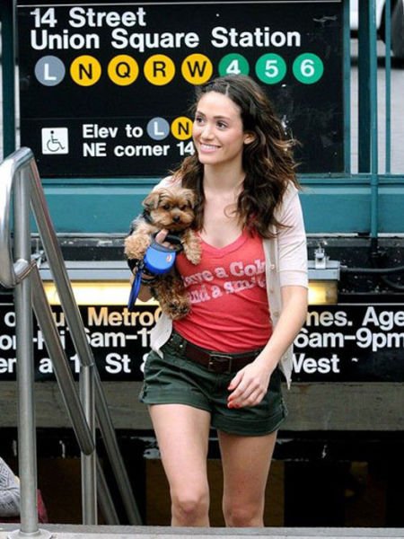 Знаменитости в метро (29 фото) Знаменитости в метро (29 фото)