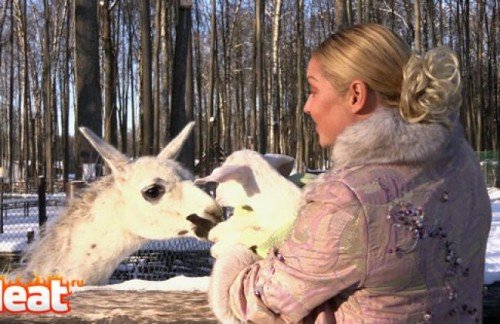 Оригинальный подарок Анастасии Волочковой на день рождения (8 фото) Оригинальный подарок Анастасии Волочковой на день рождения (8 фото)