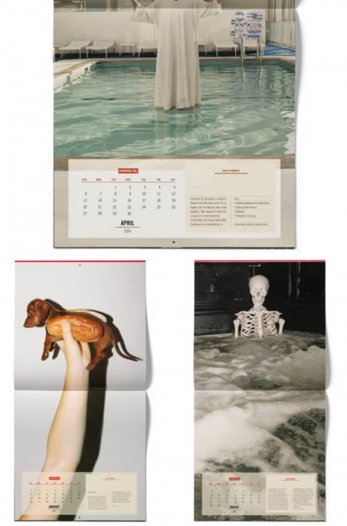 10 Самых сумасшедших календарей на 2014 год