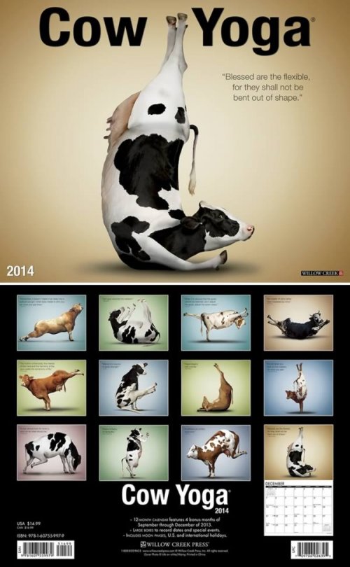 10 Самых сумасшедших календарей на 2014 год