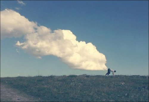 Оказалось, показалось (22 фото)