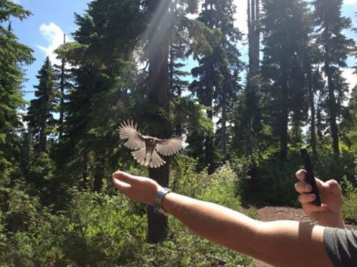 Прикольные фотографии, сделанные в нужный момент (30 шт)