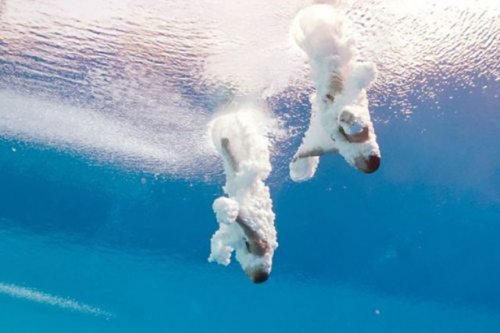 Прикольные фотографии, сделанные в нужный момент (30 шт)