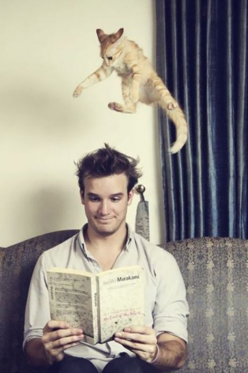 Прикольные фотографии, сделанные в нужный момент (30 шт)