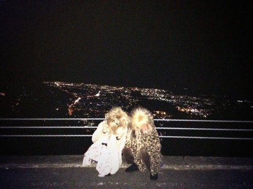 Новый странный фототренд среди японской молодёжи (28 фото)