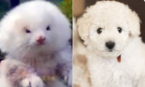 10 шокирующих результатов злоупотребления стероидами