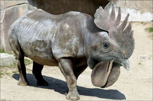 Сумасшедший фотошоп с животными (25 фото)