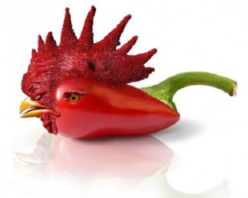 Сумасшедший фотошоп с животными (25 фото)