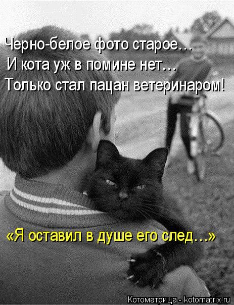 Новый сборник котоматриц (29 шт) Новый сборник котоматриц (29 шт)