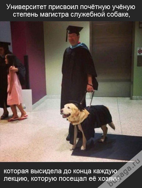 Доброта спасёт мир (24 фото) Доброта спасёт мир (24 фото)