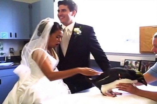 Что такое невезение (24 фото) Что такое невезение (24 фото)