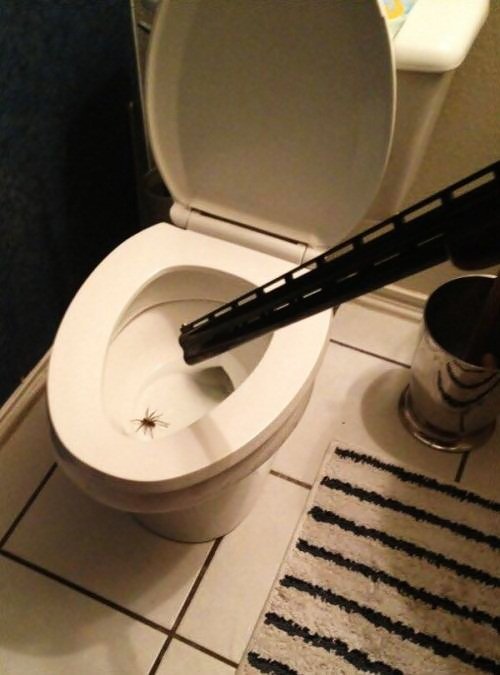 Что такое невезение (24 фото) Что такое невезение (24 фото)